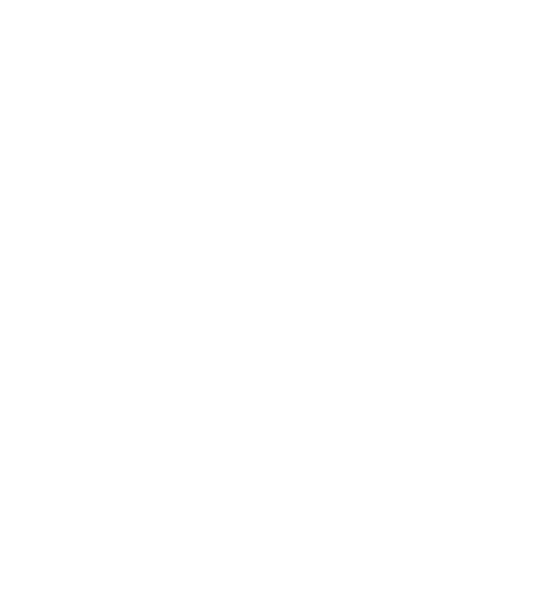 Guild Of Master Craftsmen